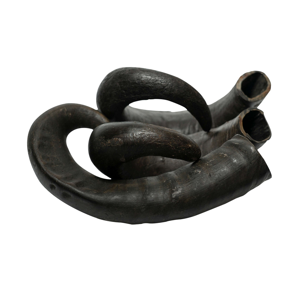 Water Buffalo Horn Dog Chews-2 Count-15 oz (WSP)