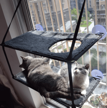 Luxury Cat Hammock Bed With Super Suction Cup - Removable And Washable-3