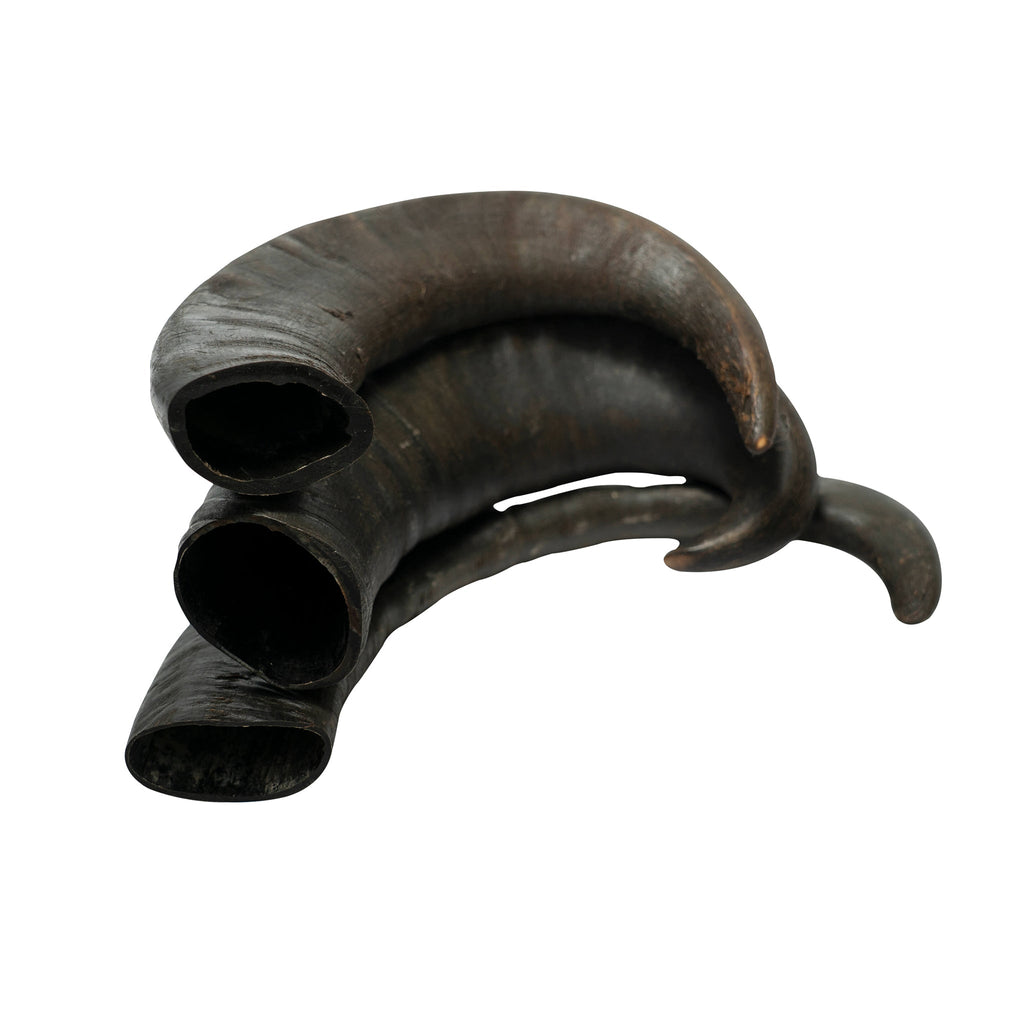 Water Buffalo Horn Dog Chews-2 Count-15 oz (WSP)