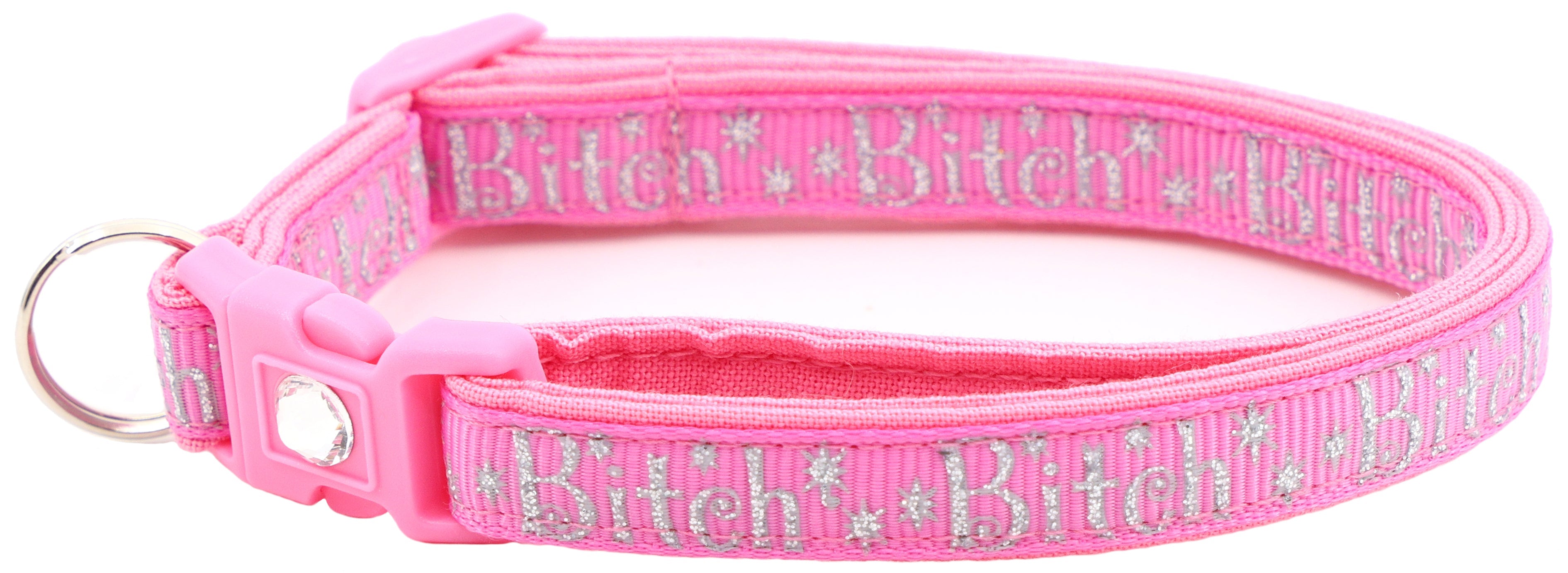 Silver Bitch Breakaway Cat Collar