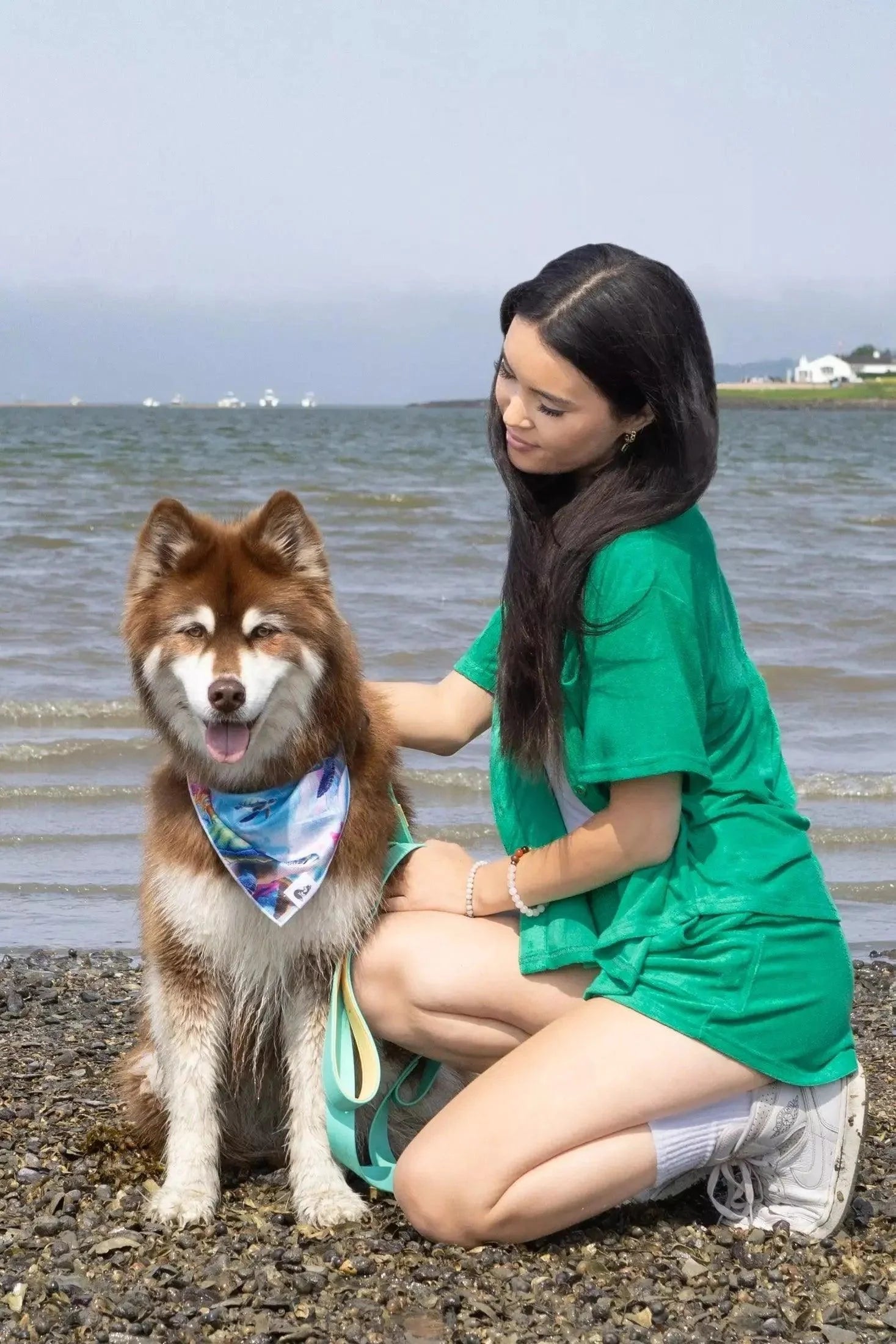 Sea Turtle Swim Dog Bandana-2