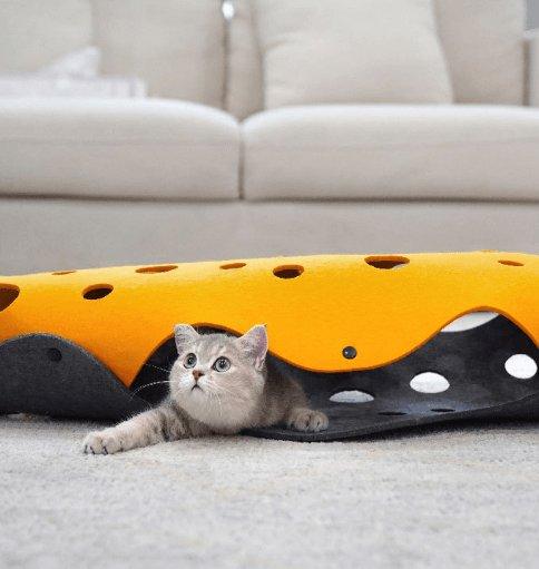 Cheese Cat Adventure Tunnel-0