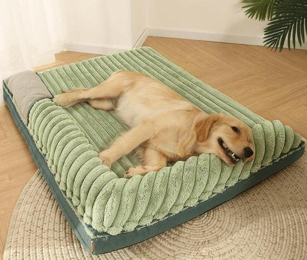 Cozy Comfy Pet Haven-5
